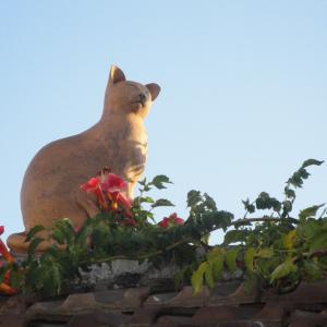 Tuile faîtière chat assis