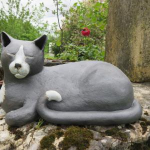 Chat noir et blanc couché