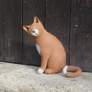 Chaton roux et blanc