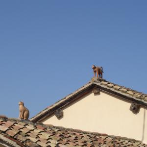 2 tuiles à Manziat (01)