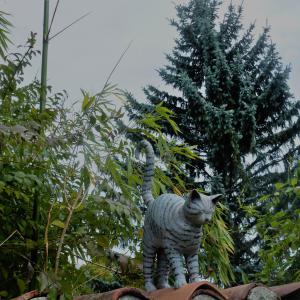 Tuile : chat debout sur muret